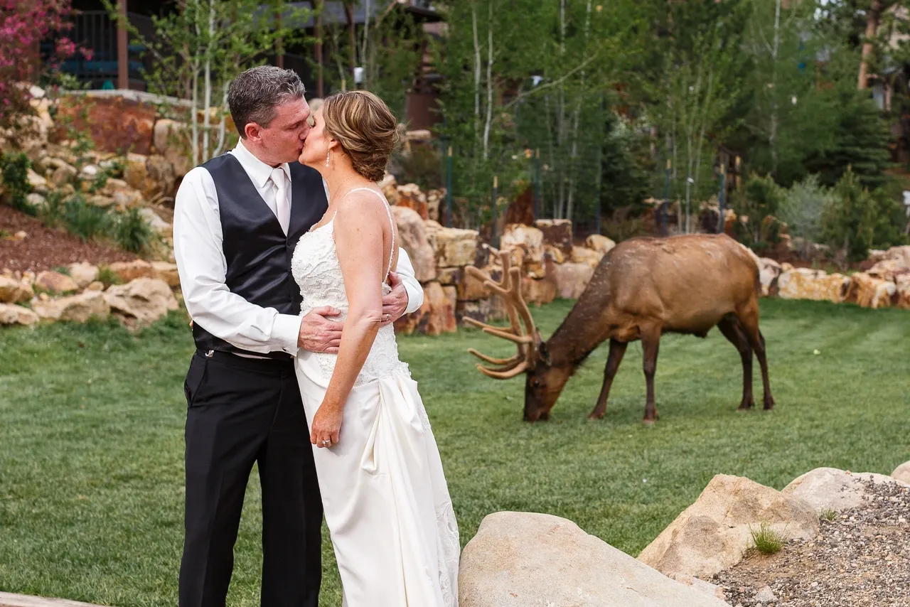 Scenic Colorado destination wedding design